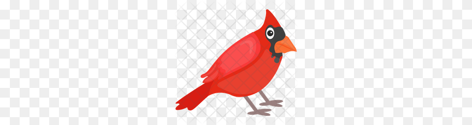 Premium Cardinal Icon, Animal, Beak, Bird, Dynamite Free Png Download