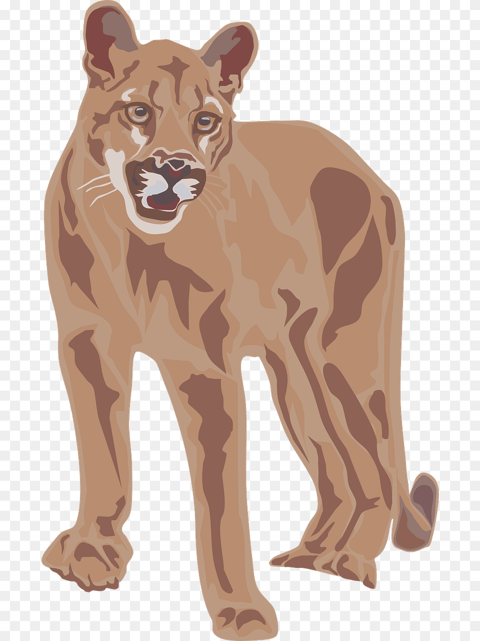 Download Puma Clipart Cougar Clipart, Animal, Lion, Mammal, Wildlife Free Transparent Png