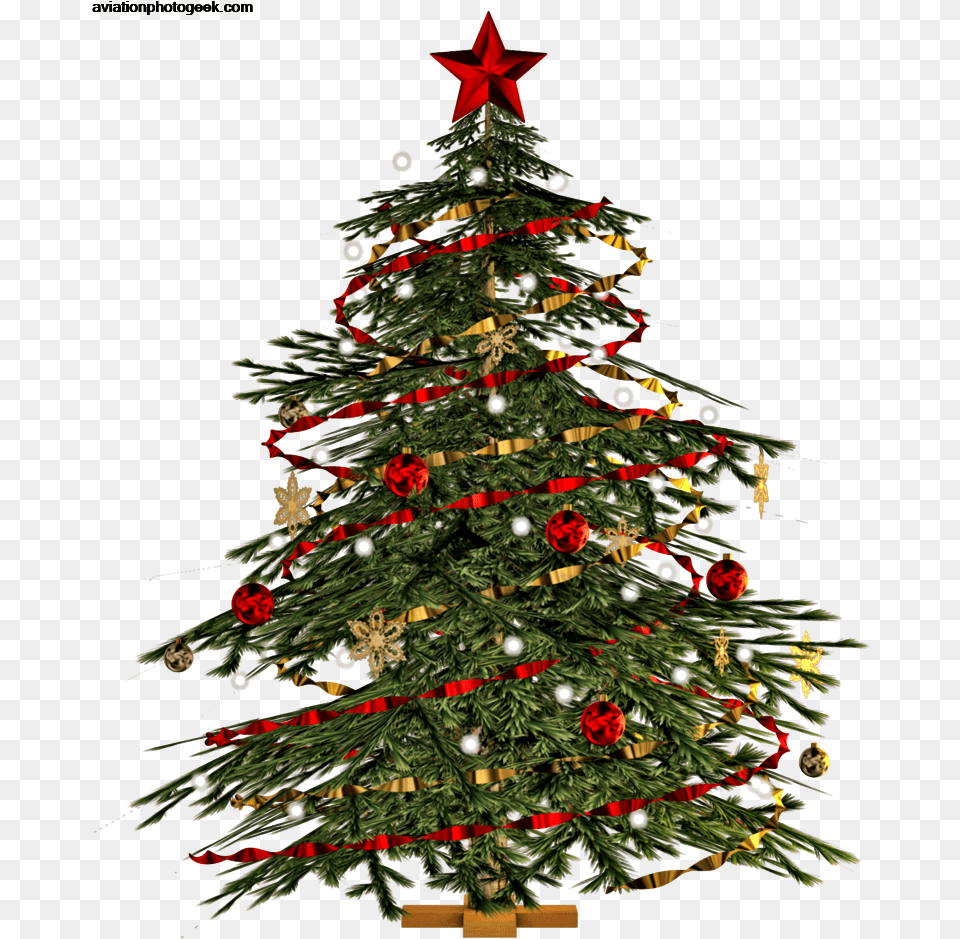 Download Purchase Christmas Decorations Ideas Christmas Tree, Plant, Christmas Decorations, Festival, Christmas Tree Free Png