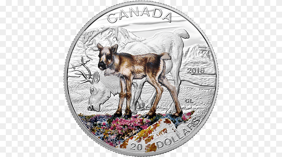Download Pure Silver Coloured Coin Baby Animals Roe Deer Canadian Coins With Animals, Animal, Canine, Dog, Mammal Png Image