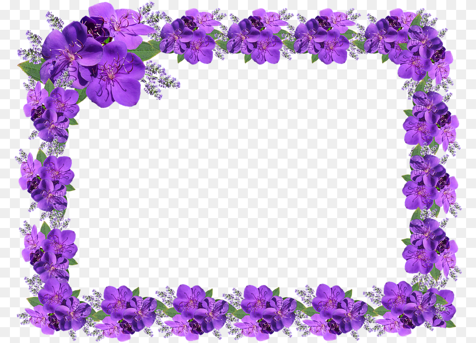 Purple Border Moldura Lilas Em Image With Love Video Frame, Flower, Geranium, Plant, Flower Arrangement Free Png Download