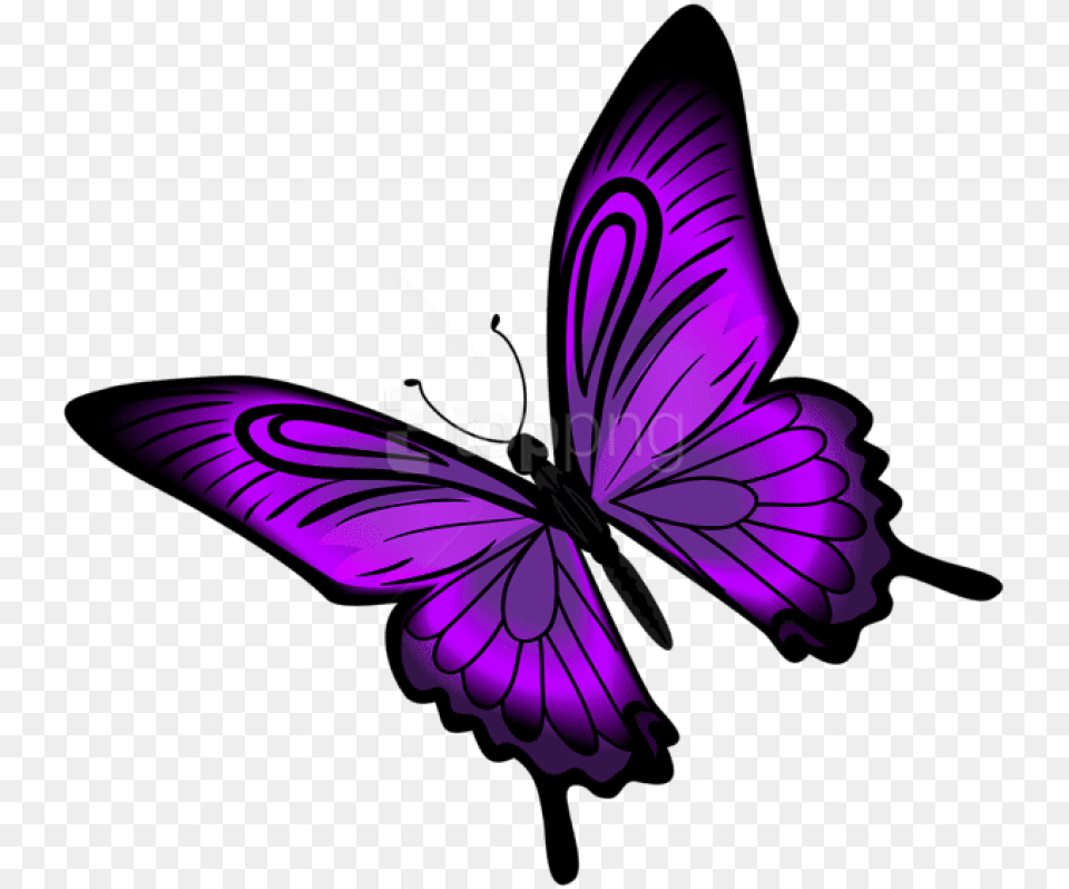 Download Purple Butterfly Clipart Background Purple Butterfly Clipart, Flower, Plant, Animal, Fish Png Image