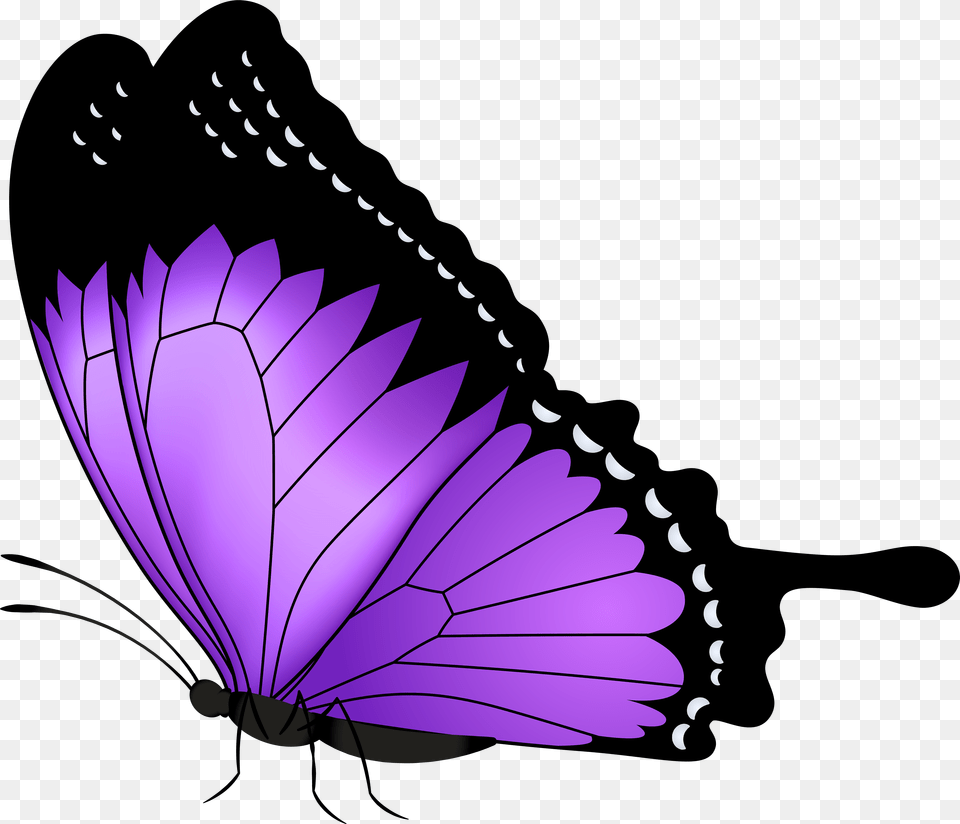 Purple Butterfly Transparent Clipart Photo, Animal, Insect, Invertebrate Free Png Download