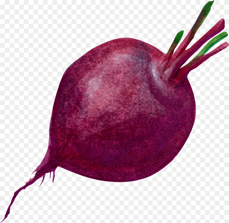 Download Purple Common Beet Transprent Purple Beetroot, Food, Produce, Animal, Bird Free Png