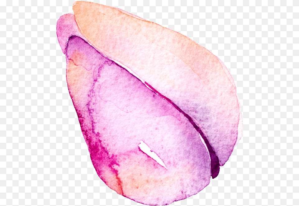 Purple Flower Hand Painted Watercolor Cartoon Grape, Petal, Plant, Crystal, Bud Free Png Download