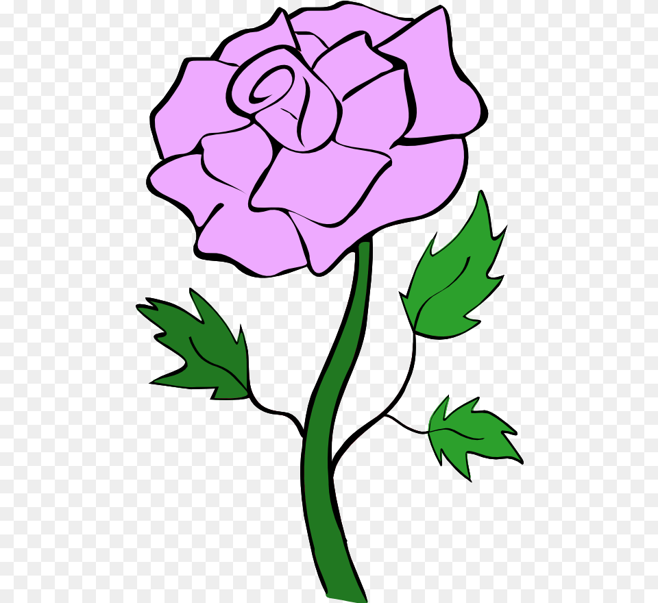 Download Purple Rose Clip Art Rosa Clipart Full Size Outline Black And White Rose Clipart, Flower, Geranium, Plant, Person Free Transparent Png