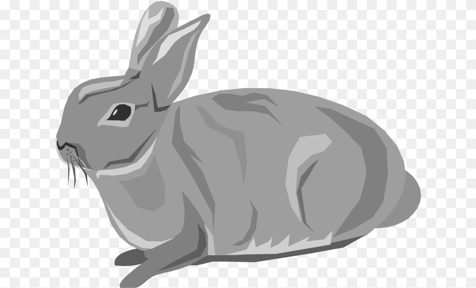 Download Rabbit Animals Downloadclipart Org Hd Photo Background Rabbit Clipart, Animal, Mammal, Baby, Person Free Transparent Png