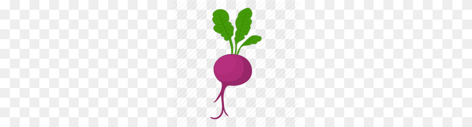Download Radish Clipart Beetroot Daikon Vegetable Food, Produce, Plant Png Image