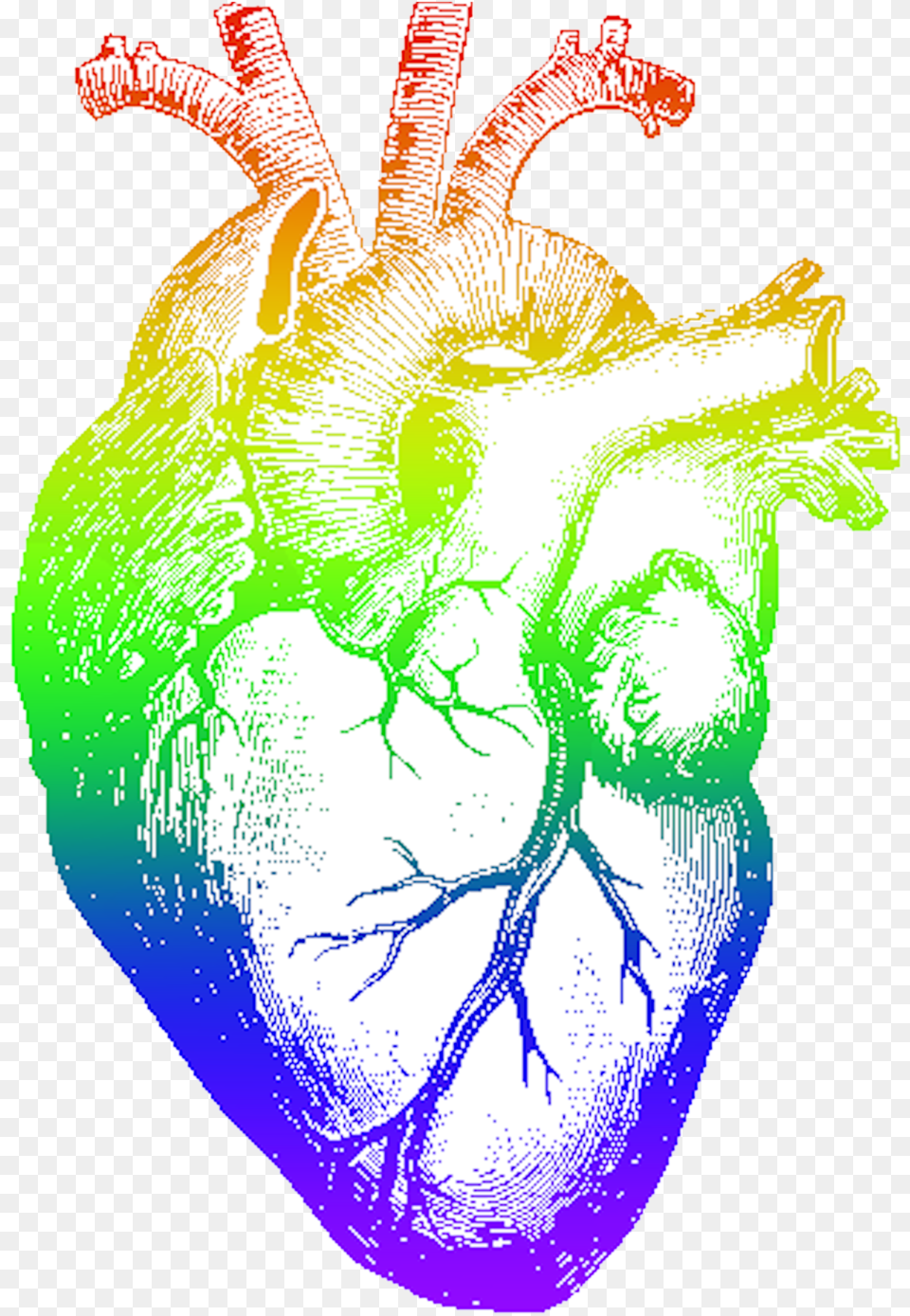 Download Rainbow Heart With Realistic Pencil Heart Drawing, Person, Face, Head, Art Png Image