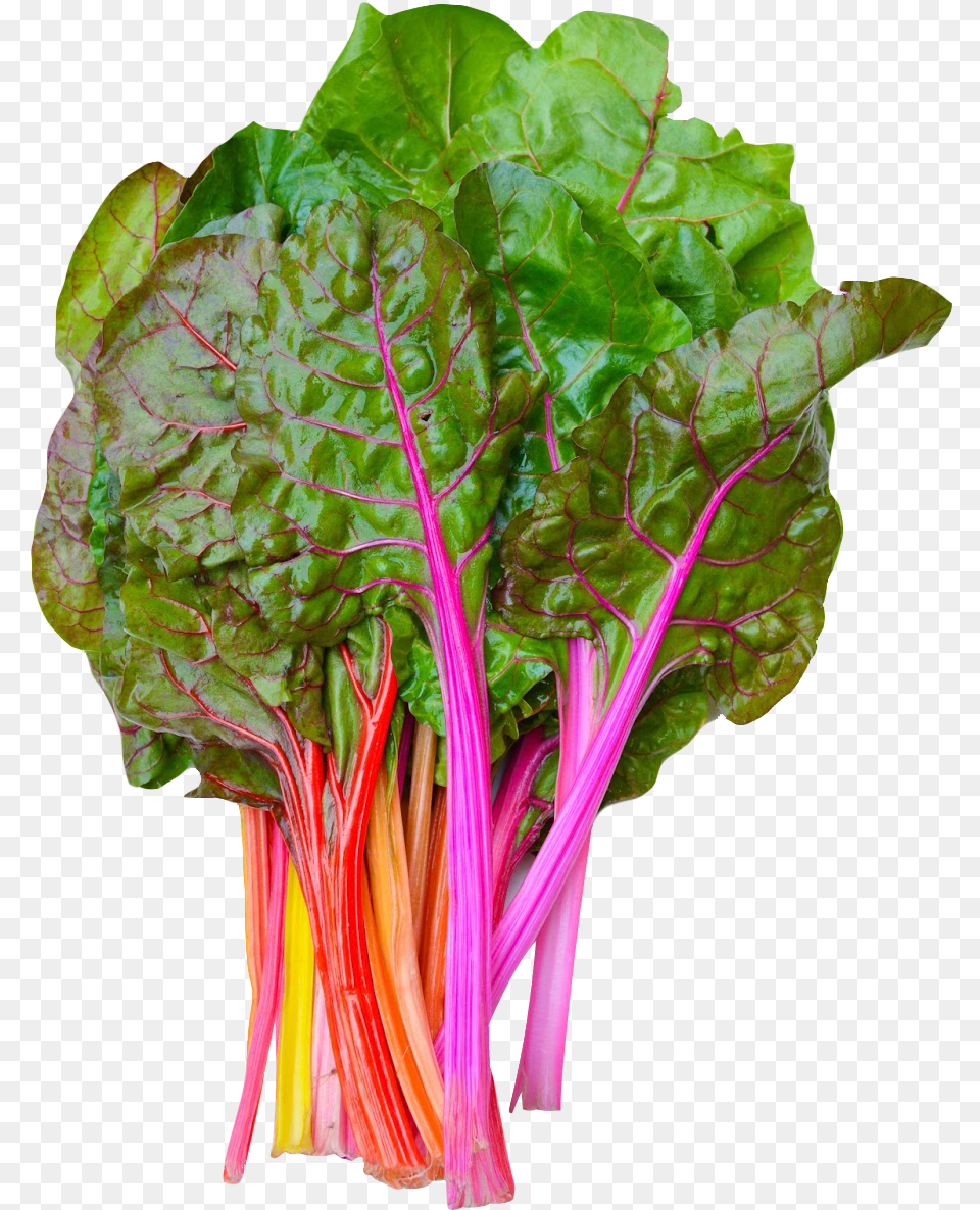 Download Rainbow Swiss Chard Swiss Chard, Food, Plant, Produce, Leafy Green Vegetable Png