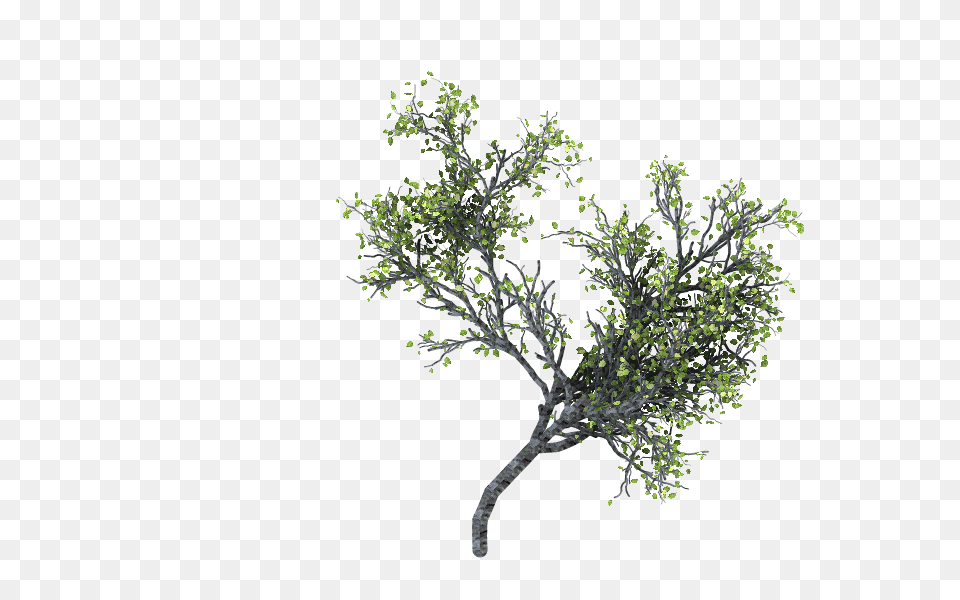 Download Ramas Arbol Ramas, Plant, Potted Plant, Tree, Art Free Transparent Png