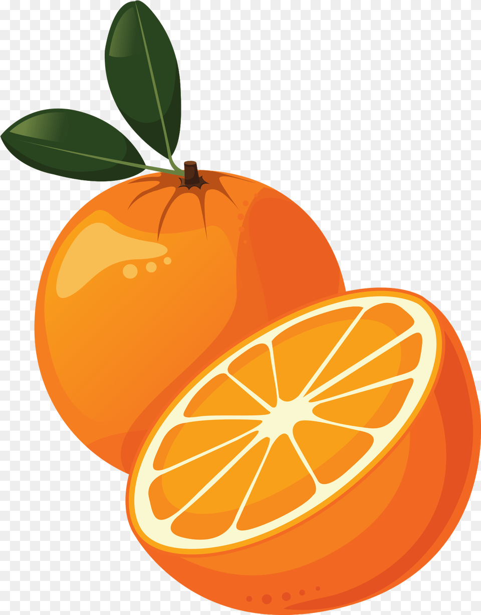 Download Rangpur, Citrus Fruit, Food, Fruit, Orange Free Transparent Png