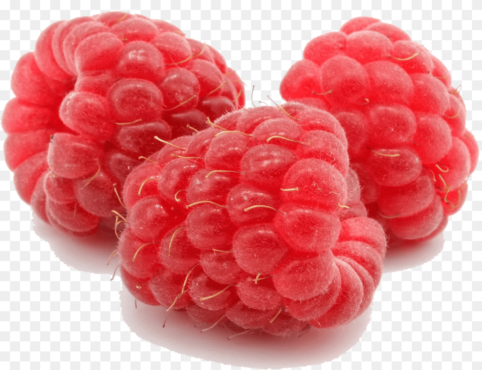 Download Raspberry File For Designing Purpose, Berry, Food, Fruit, Plant Free Transparent Png
