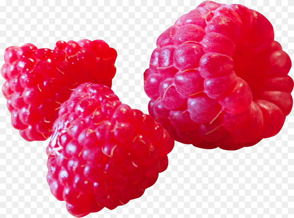 Download Raspberry Image For Ahududu, Berry, Food, Fruit, Plant Free Transparent Png