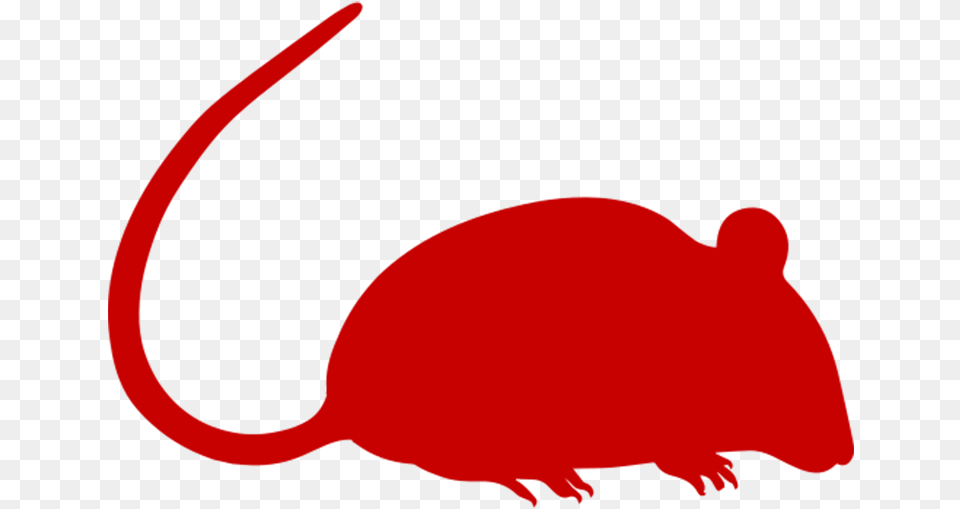 Download Rat Removal Balb C Mouse Image With No Bush, Animal, Mammal, Baby, Person Png