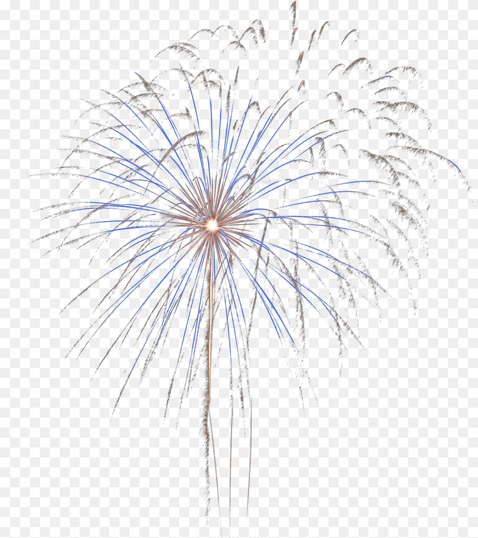 Download Real Fire Work Fireworks, Plant Png