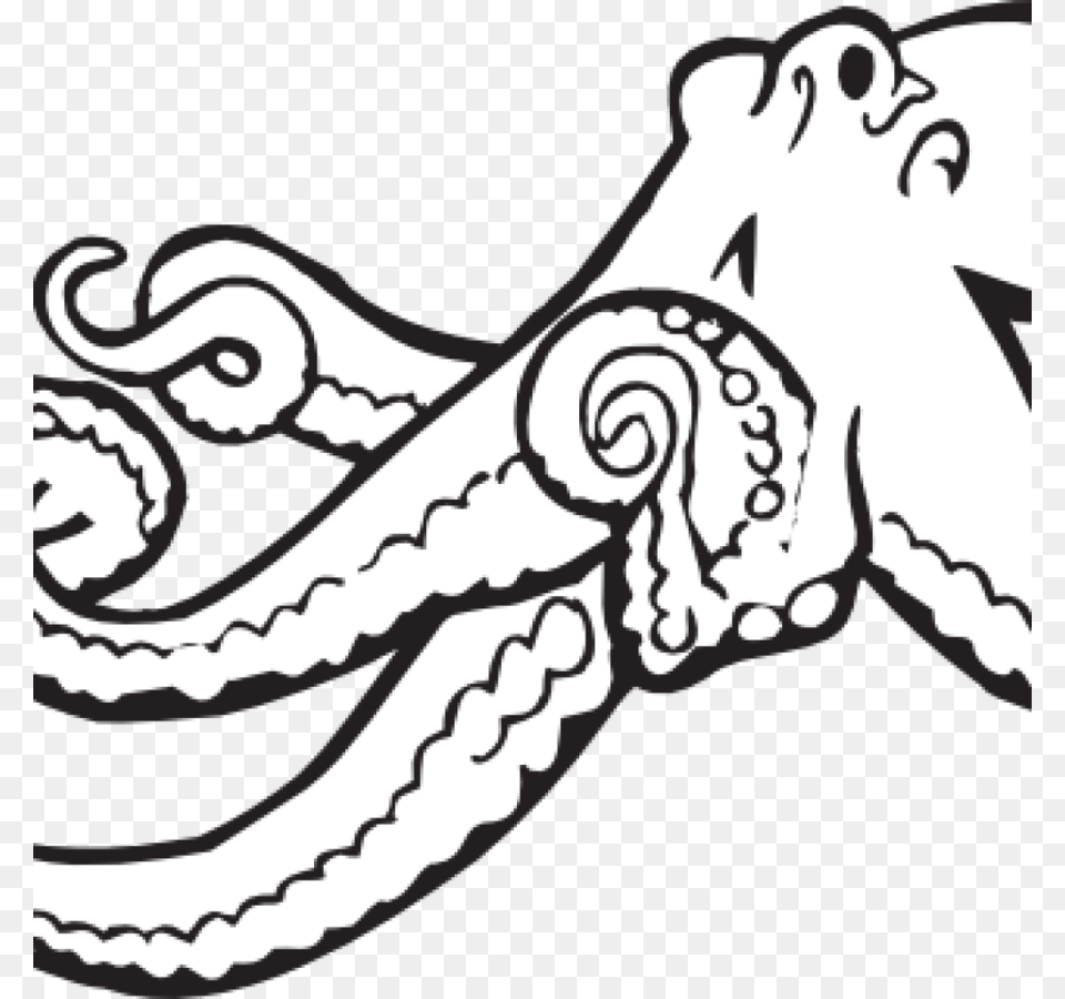 Realistic Octopus Coloring, Animal, Sea Life, Invertebrate, Baby Free Png Download