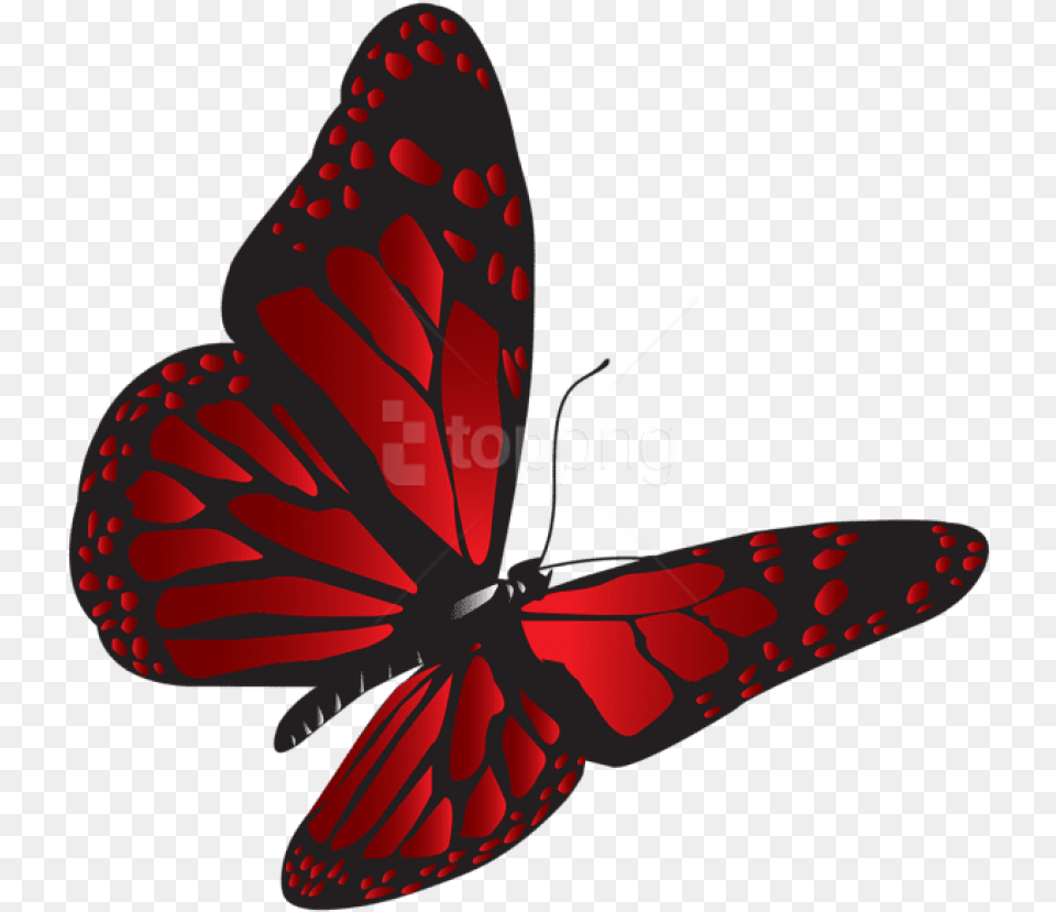 Red Butterfly Clipart Photo Clipart Red Butterfly, Animal, Fish, Sea Life, Shark Free Png Download