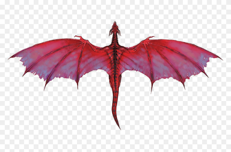 Download Red Dragon Small Dragon, Leaf, Plant, Animal, Fish Free Transparent Png