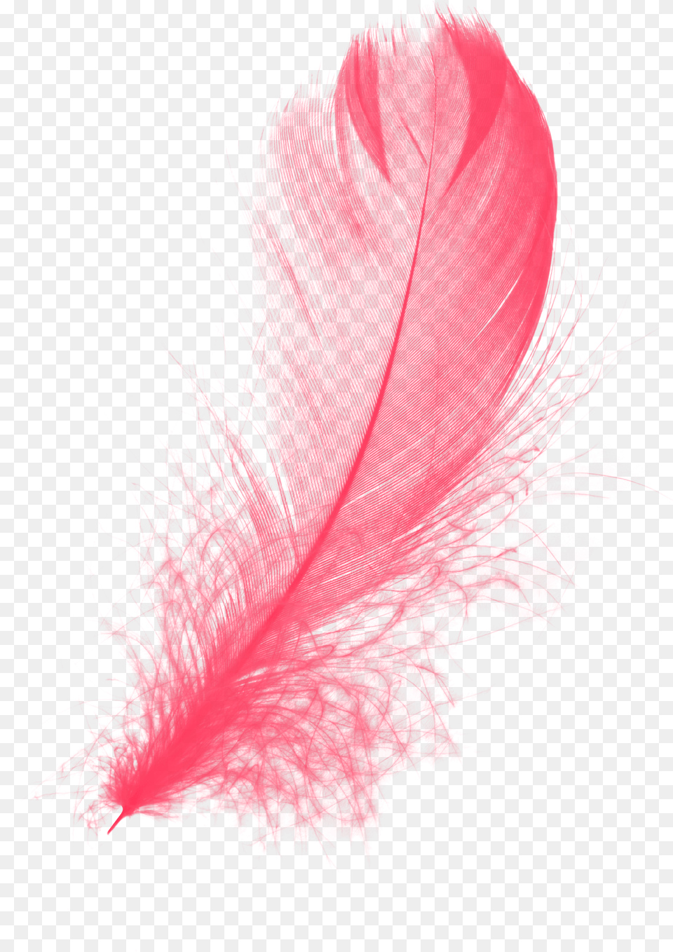 Download Red Feather Transparent Background, Adult, Female, Person, Woman Free Png