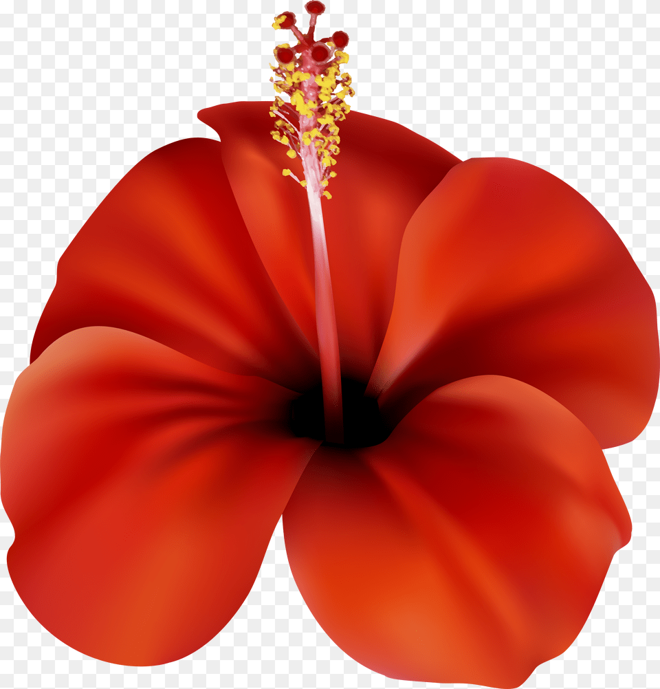 Download Red Flower Clip Art Best Web Clipart Free Png