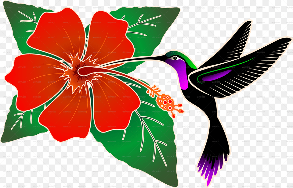 Download Red Hibiscus And Hummingbird Hibiscus With Hummingbird And Hibiscus Clip Art, Flower, Plant, Food, Ketchup Free Transparent Png