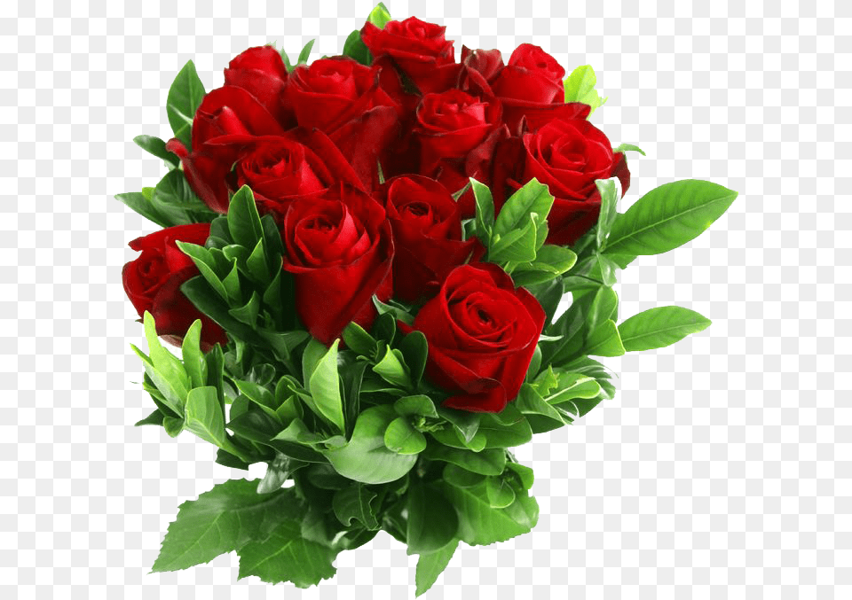 Download Red Rose Clipart Red Rose Flower, Flower Arrangement, Flower Bouquet, Plant Free Transparent Png