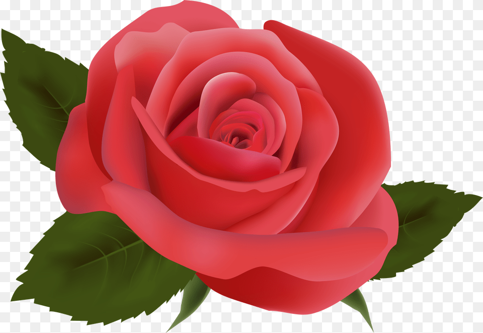 Download Red Rose Flower Design Set Clipart, Plant Png Image
