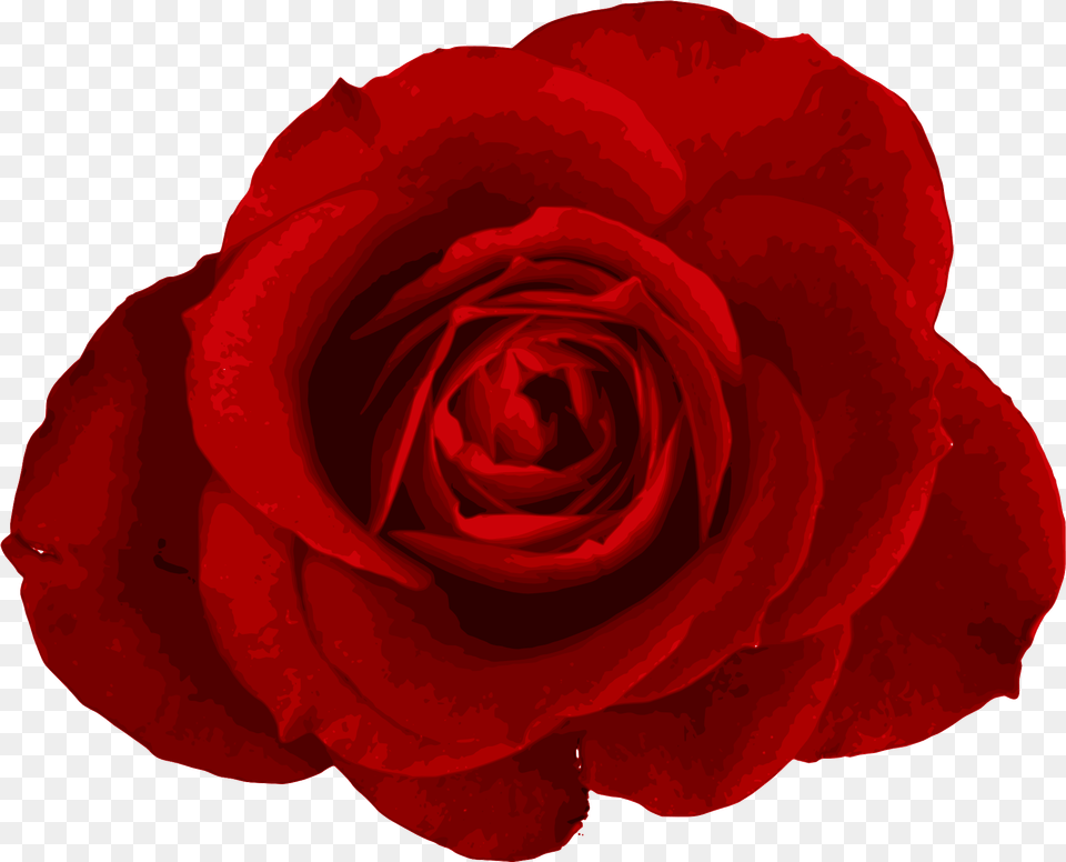 Download Red Rose Transparent Images Transparent Background Flower, Plant, Petal Png