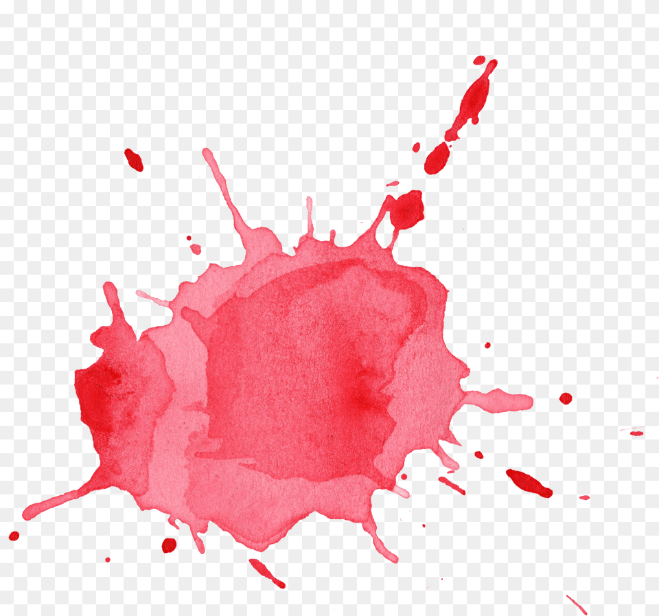 Download Red Streak Transparent Images Red Color Splash, Stain, Flower, Plant, Rose Free Png