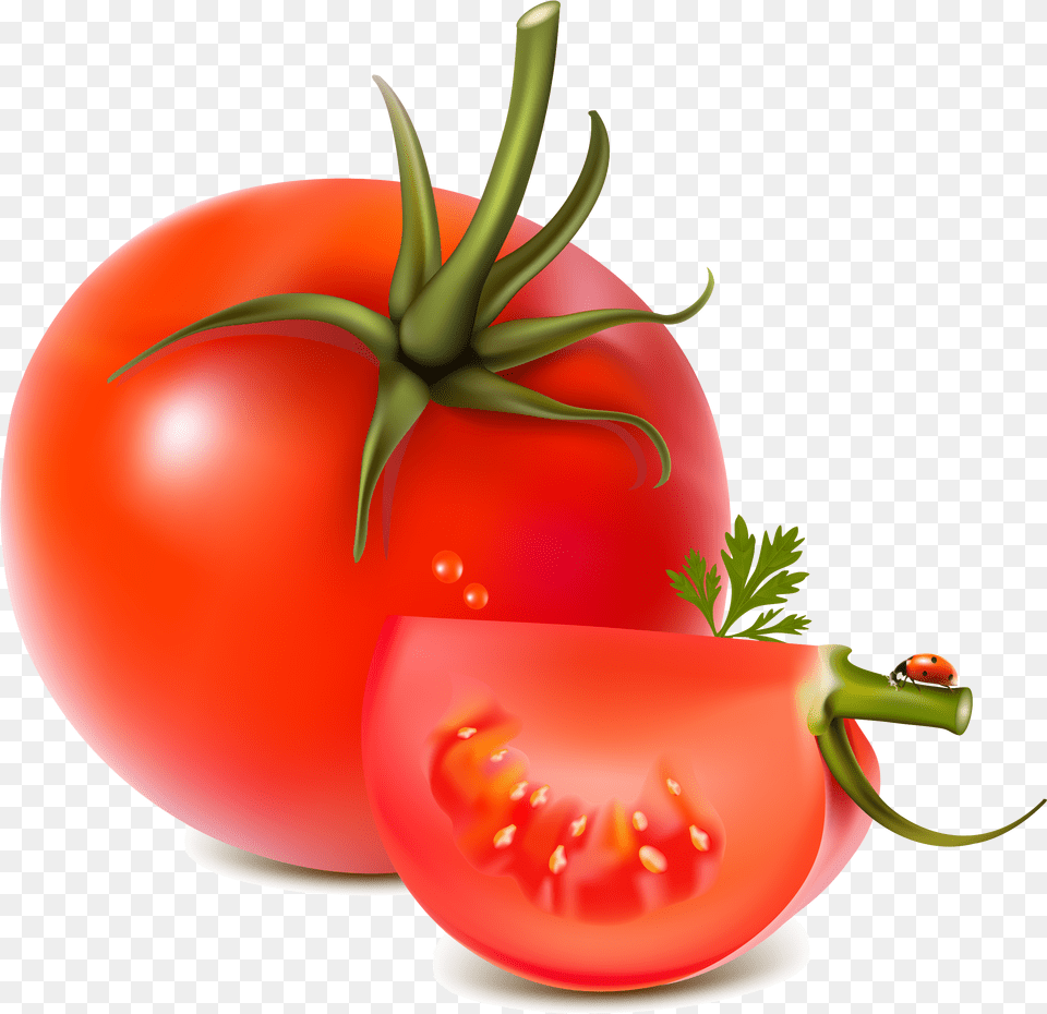 Download Red Tomatoes For Transparent Tomato Vector, Food, Plant, Produce, Vegetable Free Png