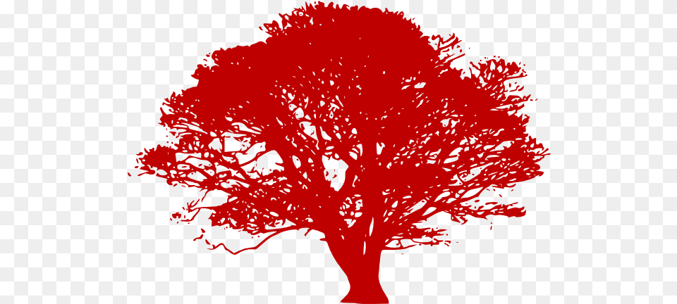 Download Red Tree Silhouette Tree Black And White Vector, Plant, Maple, Person, Oak Free Transparent Png