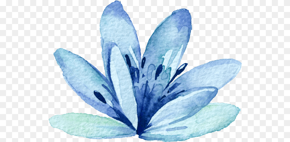 Report Abuse Printable Watercolor Botanical Water Paint Flower Transparent, Petal, Plant, Anther, Lily Free Png Download