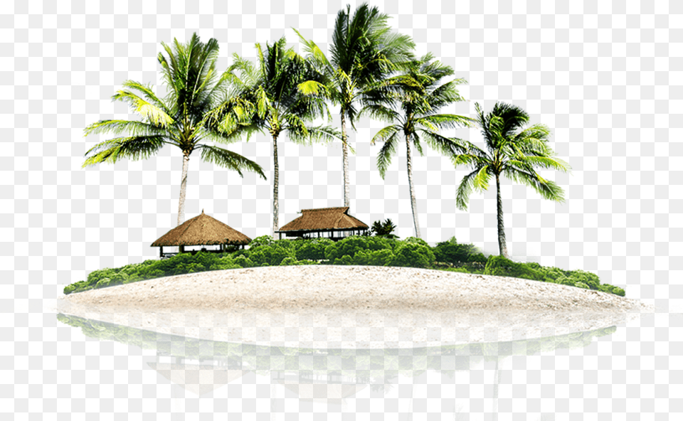 Resort Picture Beach Psd Image With No Coconut Trees Background, Water, Summer, Sea, Outdoors Free Png Download