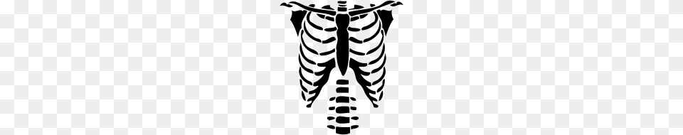 Download Rib Cage And Clipart, Gray Free Transparent Png