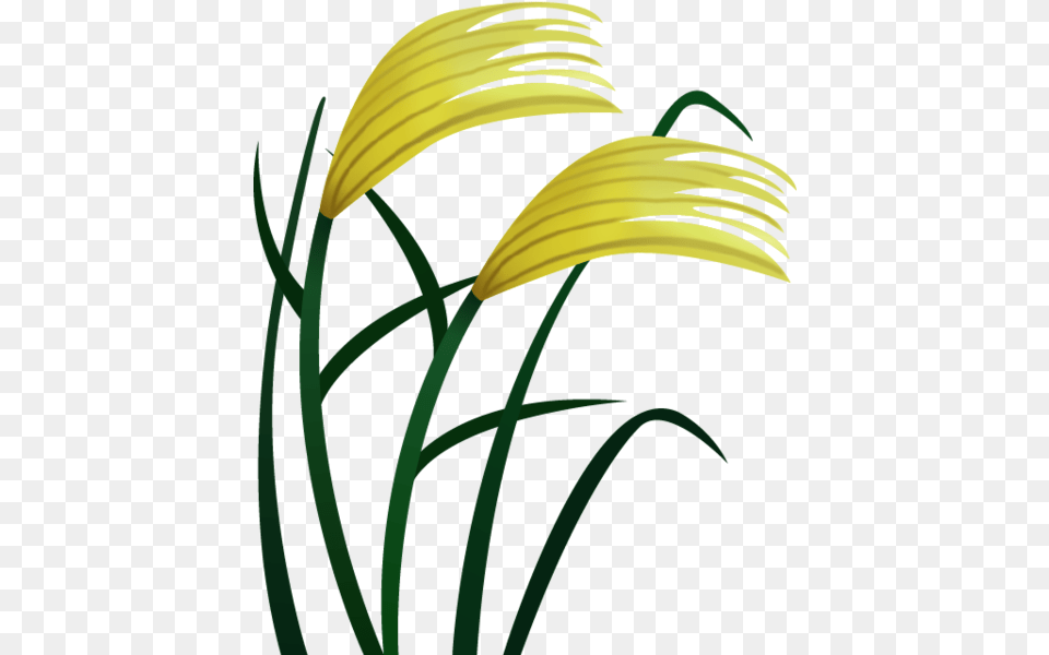 Rice Emoji In Emoji Island, Flower, Petal, Plant, Anther Free Png Download
