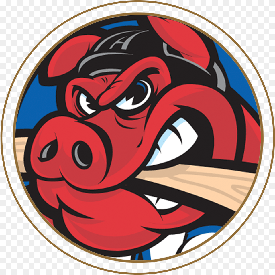 Download Rockford Icehogs Logo, Art, Photography, Baby, Person Free Transparent Png