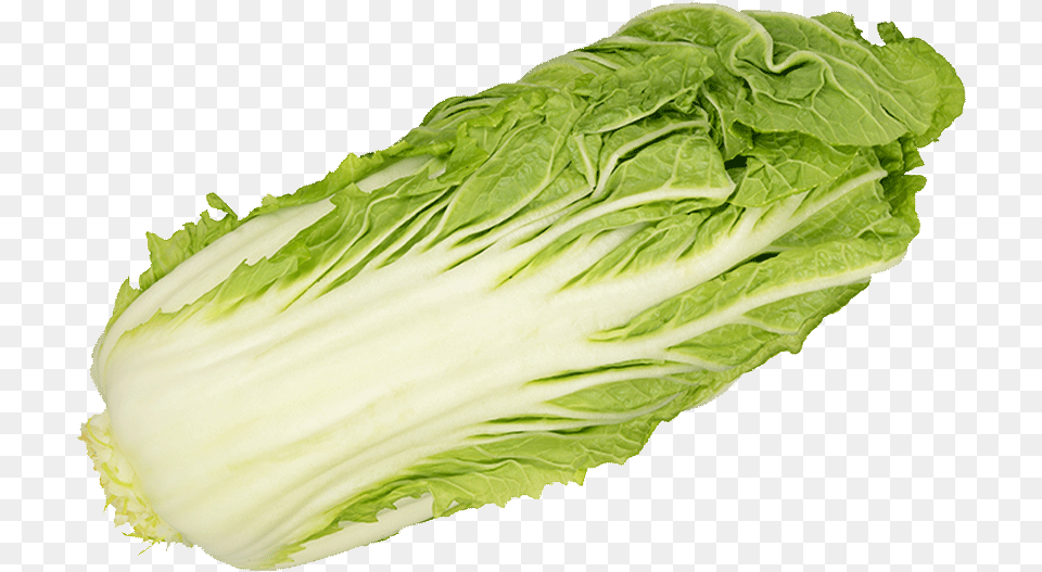 Download Romaine Lettuce Image With Superfood, Food, Produce, Leafy Green Vegetable, Plant Png