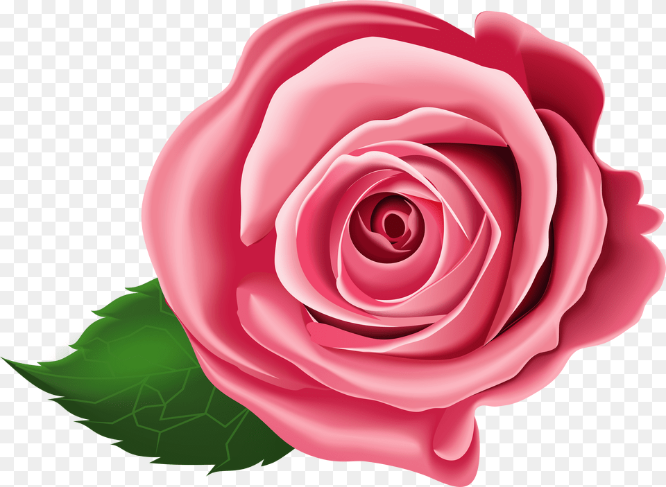Download Rose Clip Art Rose Clipart Png Image