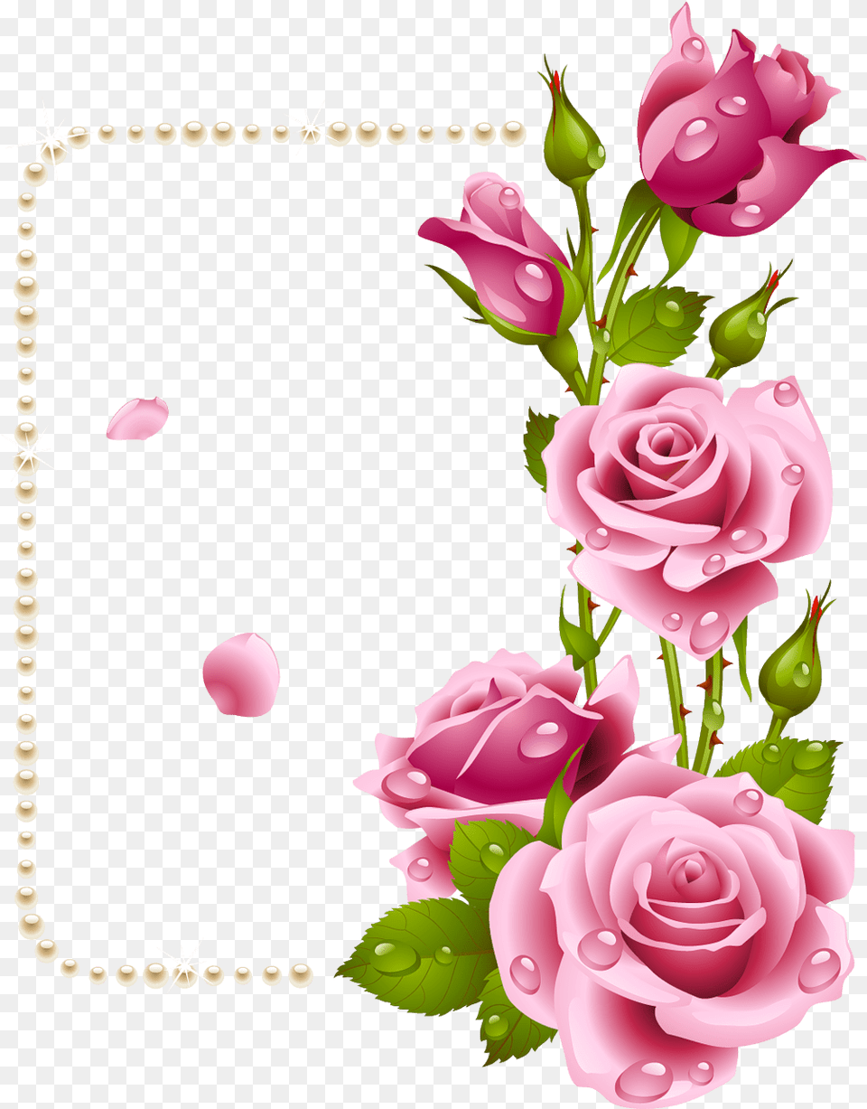 Download Rose Dil Good Morning Full Size Pngkit Garden Rose Wallpaper Flower, Art, Plant, Graphics, Floral Design Png Image
