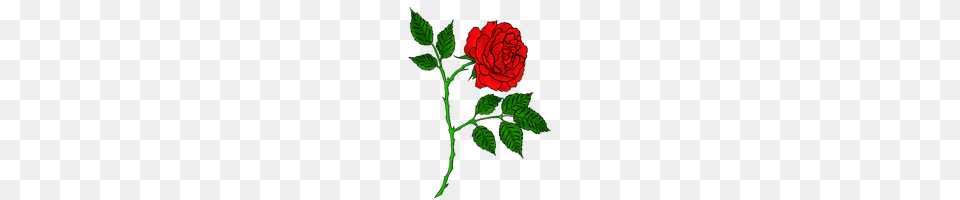 Download Rose Tattoo Photo Images And Clipart Freepngimg, Flower, Plant, Leaf Png Image