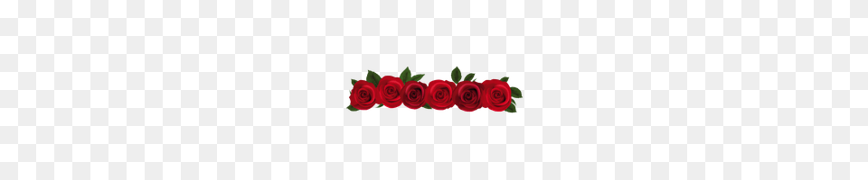 Download Roses Category Clipart And Icons Freepngclipart, Art, Floral Design, Flower, Flower Arrangement Png Image