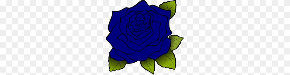 Download Roses Clipart Rose Clip Art Flower Plant Rose Leaf, Baby, Person Png Image