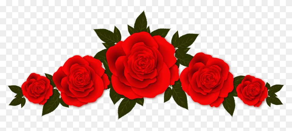 Roses Flowers Vignette Design Plate Rose Background Rose Border, Flower, Plant Free Png Download