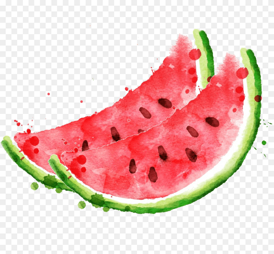 Download Royalty Stock Photography Clip Art Royaltyfree Watercolor Watermelon Clipart, Food, Fruit, Plant, Produce Png