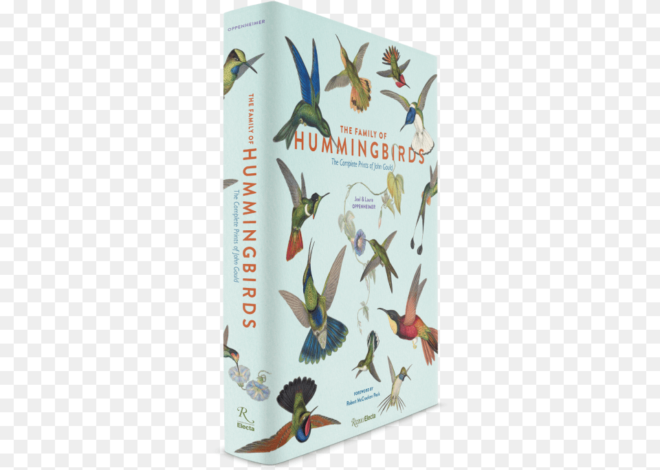 Download Ruby Hummingbird, Animal, Bird, Bee Eater, Book Free Png