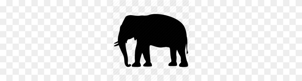 Download Safari Animal Silhouette Clipart Indian Elephant, Mammal, Wildlife Png Image