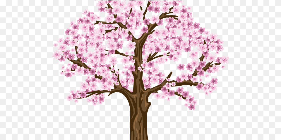 Download Sakura Clipart Dogwood Tree Cherry Blossom Tree Clipart, Flower, Plant, Cherry Blossom Png