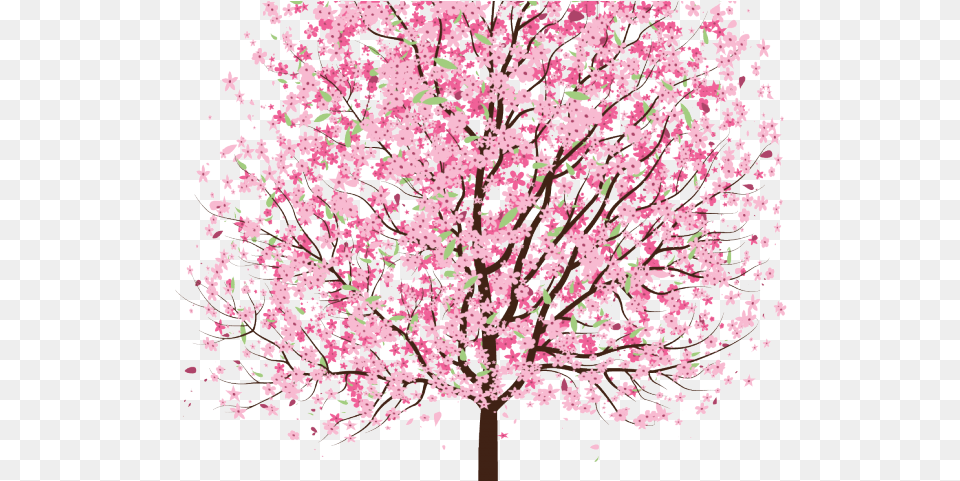 Download Sakura Clipart Tree Cherry Blossom Tre3 Drawing Sakura Cherry Blossom Tree Clipart, Flower, Plant, Cherry Blossom Png