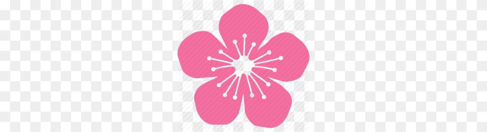 Download Sakura Icon Clipart Cherry Blossom Flower Circle, Anemone, Geranium, Petal, Plant Free Transparent Png
